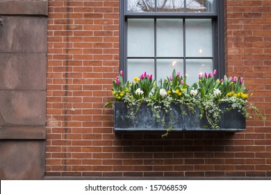 Window Box With Spring Flowers, On An Old Apartment Building