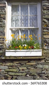 Window Box UK Lakes District