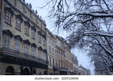 window building and tree