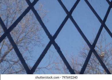 A window with a diamond-shaped lattice. Branches of trees outside the window.