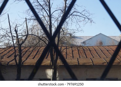 A window with a diamond-shaped lattice. Buildings and trash outside the window.