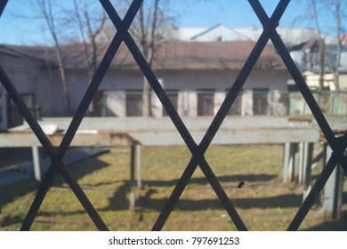 A window with a diamond-shaped lattice. Buildings and trash outside the window.