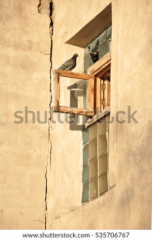 Similar – Image, Stock Photo dog leaning out the round window, france