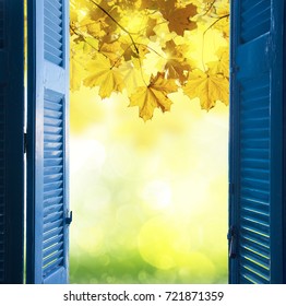 window to fall garden