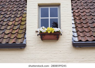 Window featuring a planter with white and yellow flowers, positioned on a yellow wall with a roof of red and gray tiles above