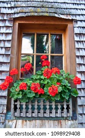 window with flower box