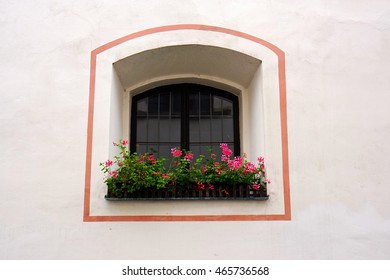 window and flower box and flower box