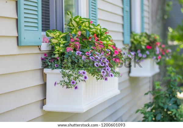 Window Flower
Box