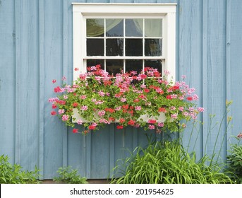 Window Flower Box With Beautiful Blooming Flowers