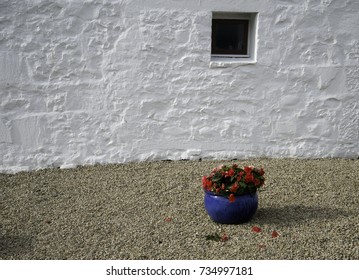 window and flower pot
