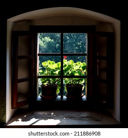 Window with flower and spider nets