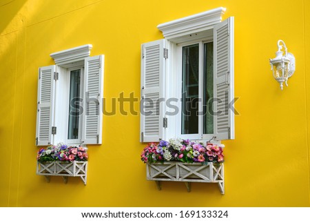 Window with flowerbox