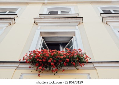 Window and flowerbox. Window decorated with red Geranium flowers. House wall with windows and flowers in flower boxes