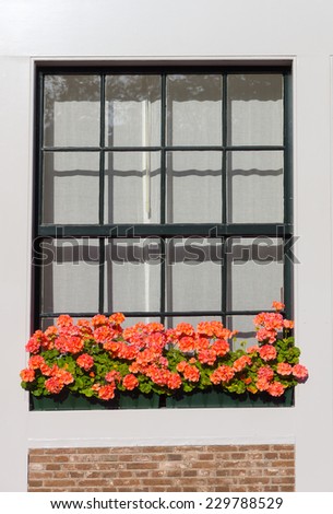 Similar – UT Only floating is more beautiful I Cozy flower window