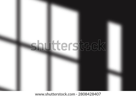 window frame shadow overlay, sunlight through window on white wall, soft natural light, minimalist background