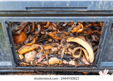 Window in a garden compost bin. Remains of food waste from fruits and vegetables are visible. Background. Close-up. - Powered by Shutterstock