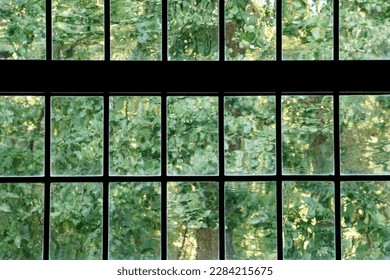 Window Glass Old Imperfect Panes With Transparent Waves Above Tree Garden