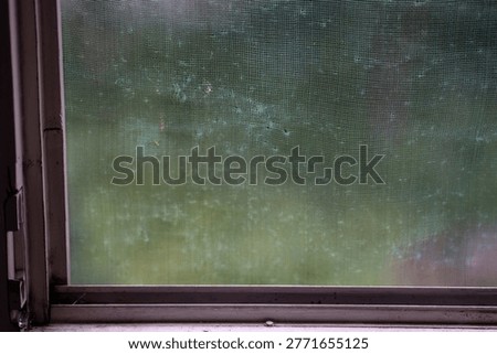 Window insect screen with soft blurred garden background