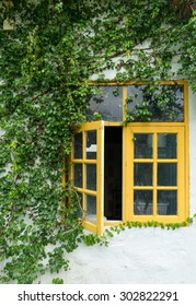 Window with leaf Coatbuttons