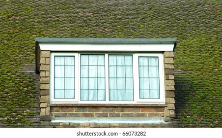 Window Ledge - Shutterstock ID 66073282