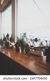 Window Ledge With Plants In A Cafe