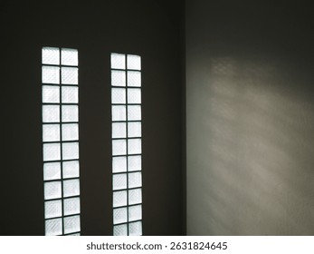 Window light shadowing across vertical surface. A minimal and modern background for design overlays