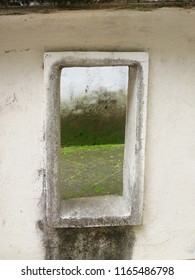 window of moss