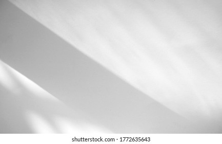 Window natural shadow overlay effect on white texture background, for overlay on product presentation, backdrop and mockup, summer seasonal concept