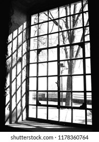 Window to nature