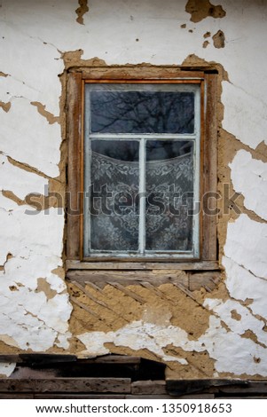 Similar – Image, Stock Photo Room with a view Plant