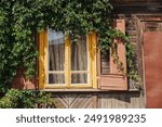 Window in an old wooden cottage covered with creeper plant. Rustic wooden wall and overgrown window. Vintage and nature-inspired design projects. Open wooden shutters. Nature design cottage in forest.