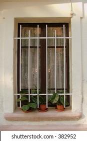 window with plants