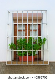 window with pots