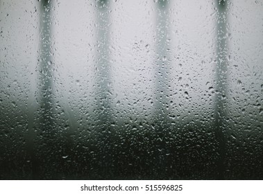 Window Rain