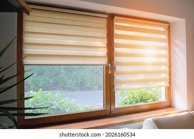 Window roller, duo system day and night.  Cozy home interior.