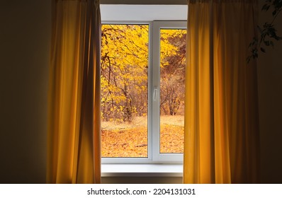 Window in room view on autumn park with fall leaves on the tree - Shutterstock ID 2204131031