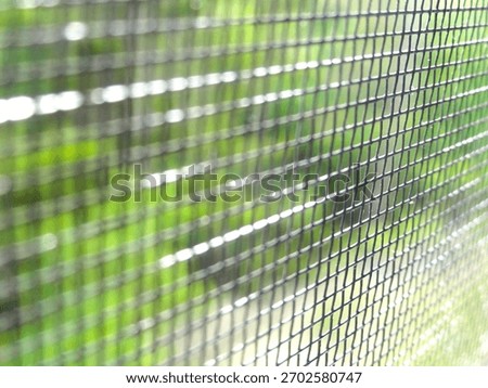 A window screen multiple plants on the other side
