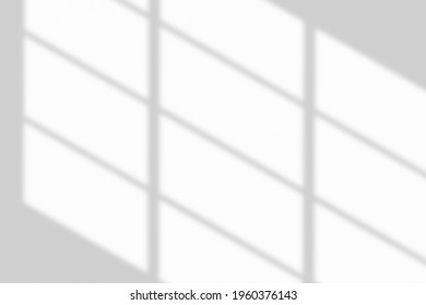 Window Shadow Drop On White Wall Background