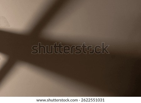 Window shadows , offering a balanced visual suitable for editorial or product placement.