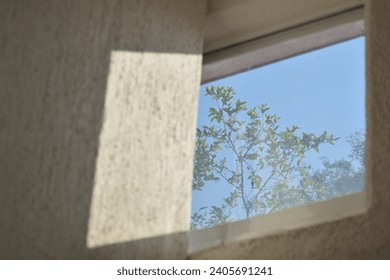 Window showing the sky and a tree.