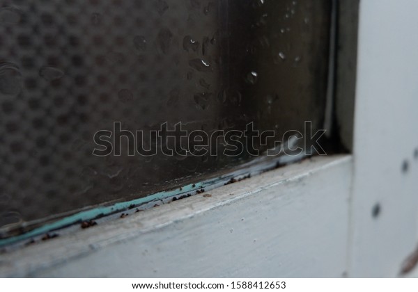 The window\
shows the beautiful rain and\
twilight