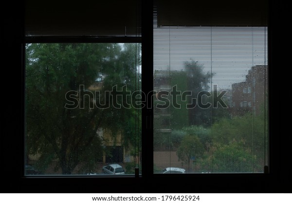 Window with shutter watching it rain on the\
street with trees and cars, rainy\
day.