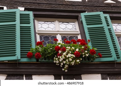 Window Shutters