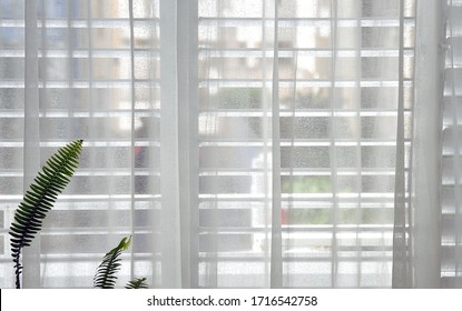 window with shutters and a transparent curtain