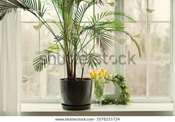 Window Sill French Window Decor Flowers Stock Photo Edit Now