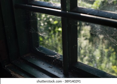Window with spider web