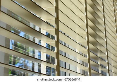 Window To A Suburban Back Yard With Trees (horizontal Faux Wood Blinds)