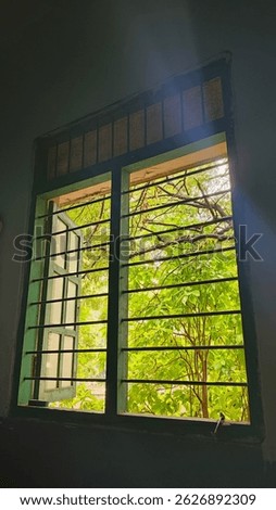 window , sun rays, window refelection , 