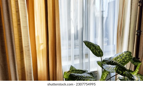 Window with transparent white tulle beige curtains. Background and texture with fabric. Copy space for text - Shutterstock ID 2307754995