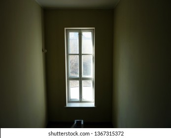 window with view
